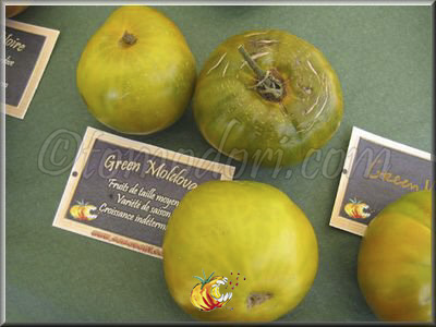 Tomate Green Moldovan