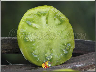 Tomate Green Pineapple