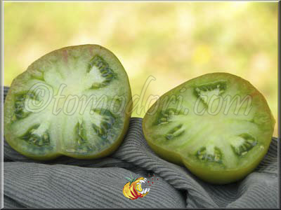 Tomate Green Velvet
