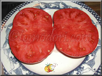 Tomate Grosse Rouge Plate du Portugal