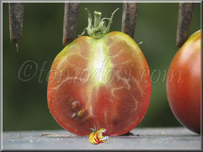 Tomate Grousha Tcheornaya