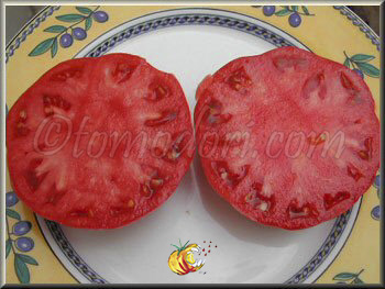 Tomate Hmong