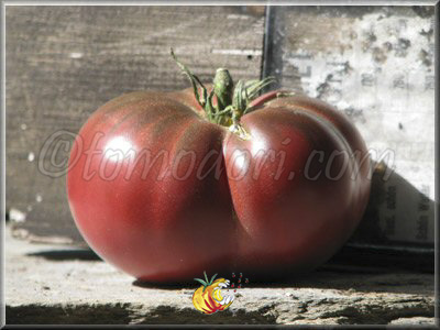 Tomate Kardinal Tshyornyi