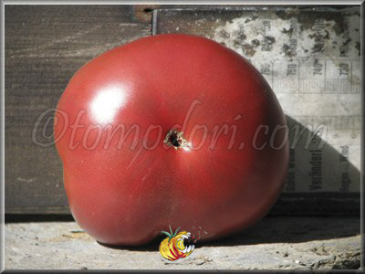 Tomate Kardinal Tshyornyi
