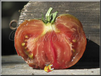 Tomate Kardinal Tshyornyi