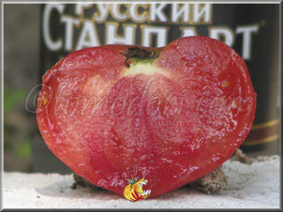 Tomate Katja
