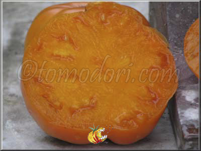 Tomate Kentucky Beefsteak