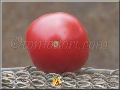 Tomate Mayo's Delight