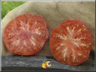 Tomate Mémé Beauce