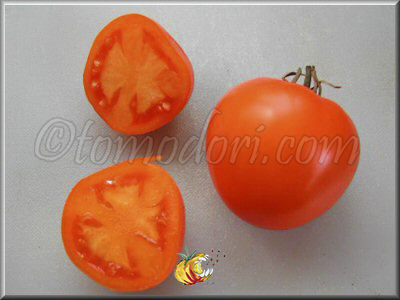Tomate MoonGlow