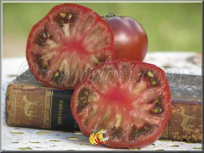 Tomate Mr Brown