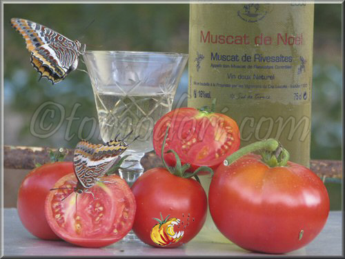 Tomate Muscat