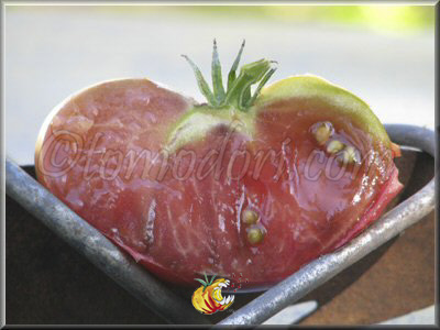Tomate Noire de Coseboeuf