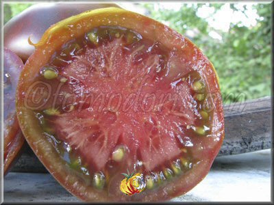 Tomate Noire de Crimée