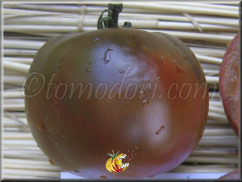 Tomate Nyagus