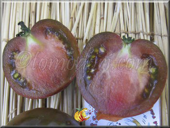Tomate Nyagus