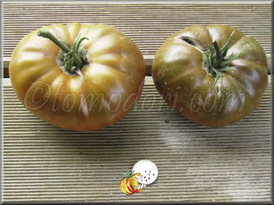 Tomate Paul Robeson