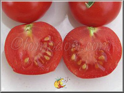 Tomate Petit Bec