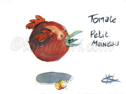 Tomate Petit Moineau