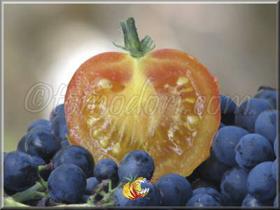 Tomate Pineapple Fog