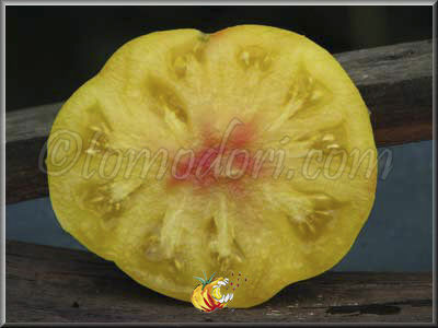 Tomate Ponderosa Golden