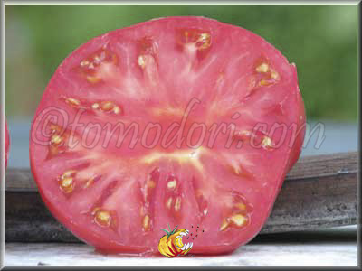 Tomate Purple Hillbilly