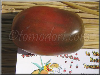 Tomate Purple Russian