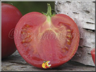 Tomate Rose le Voyageur