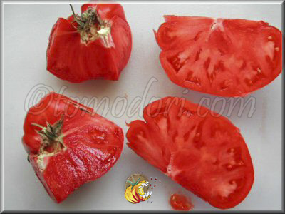 Tomate Roteno