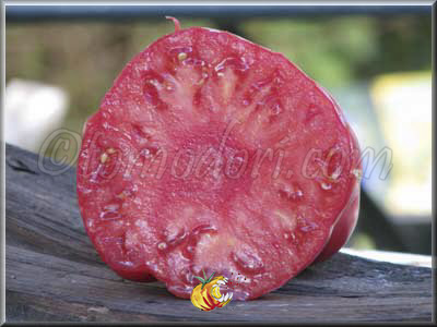 Tomate Sandul Moldovan