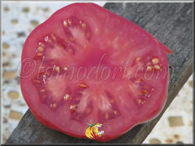 Tomate Schlesische Himbeere