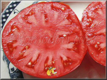 Tomate Shuntukski Giant