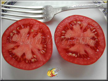 Tomate Sophie's Choice