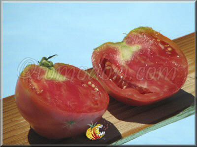 Tomate Sorrento