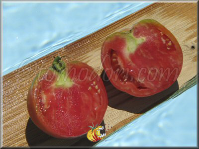 Tomate Sorrento