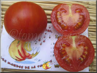 Tomate Tigerella