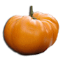 Les variétés de Tomodori.com : Le Jackpot des saveurs, tentez le 777 ! 
