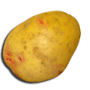 Les pommes de terre de Tomodori