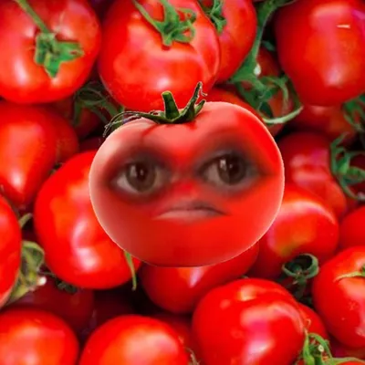 SprayTanWatermelon - Big Tomatoes
