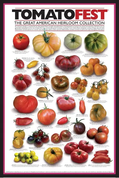 Affiche TomatoFest 2022