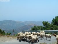 Aspromonte – scène sur la route