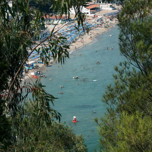 Vue plongeante sur la plage de Pietragrande encadrée par la végétation, mer calme et baigneurs en été