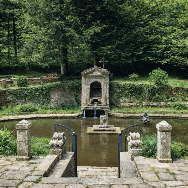 Fontaine historique et source naturelle dans les forêts de Serra San Bruno en Calabre