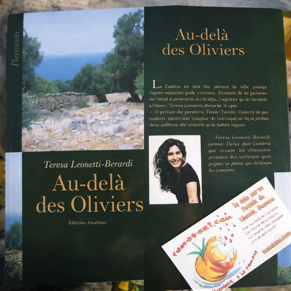 Couverture de Au-delà des Oliviers