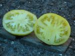 Tomate Big Yellow Zebra