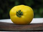 Tomate Big Yellow Zebra