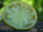 Tomate Big Yellow Zebra