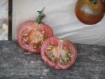 Tomate Brown Berry