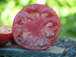 Tomate Caspienne Rose