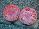 Tomate Caspienne Rose